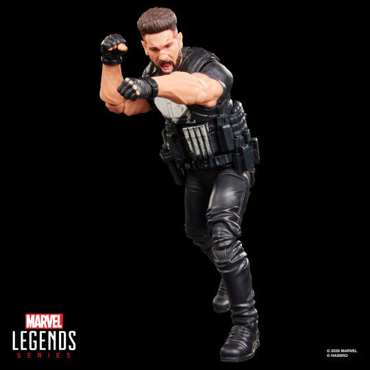 Marvel Legends Series The Punisher